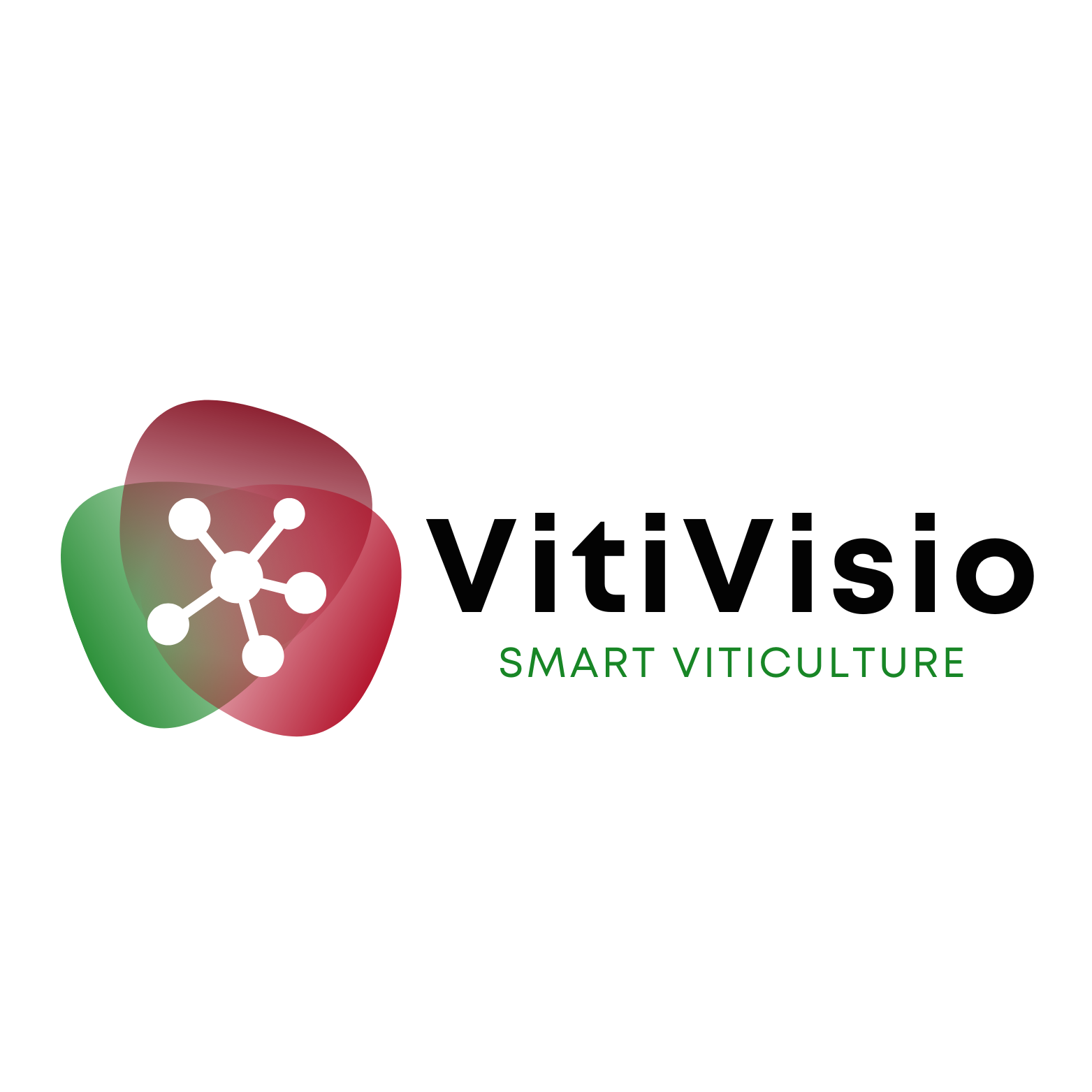 Logo VitiVisio